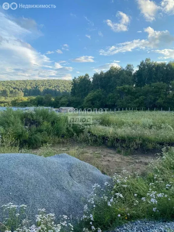 Участок в Миасский городской округ, село Черновское, Чернореченская ... - Фото 0