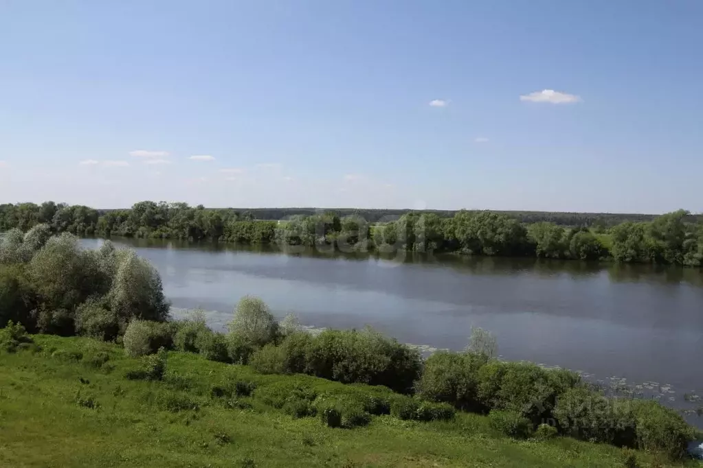 Дом в Московская область, Кашира городской округ, пос. Большое Руново ... - Фото 1