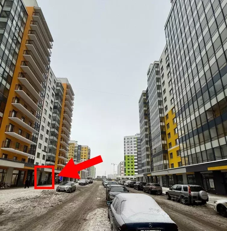 Помещение свободного назначения в Санкт-Петербург пос. Шушары, ул. ... - Фото 1