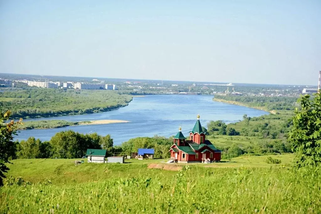 Участок в Нижегородская область, Богородский муниципальный округ, д. ... - Фото 0