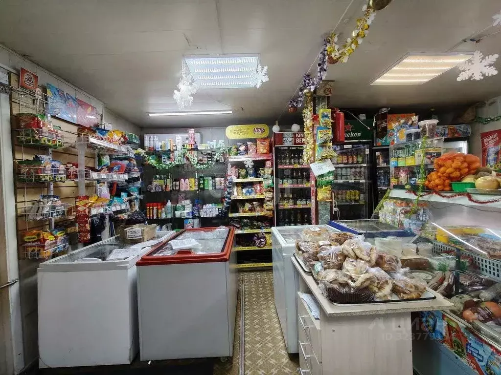 Торговая площадь в Забайкальский край, Чита пос. Рудник Кадала, Новая ... - Фото 2