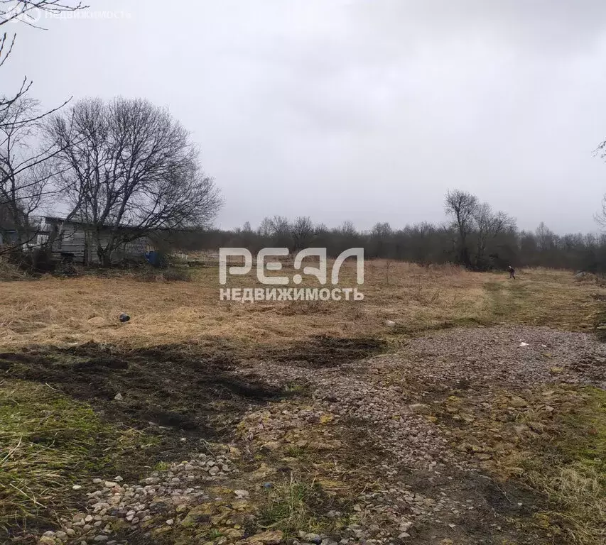 Участок в Волосовский район, Большеврудское сельское поселение, ... - Фото 1