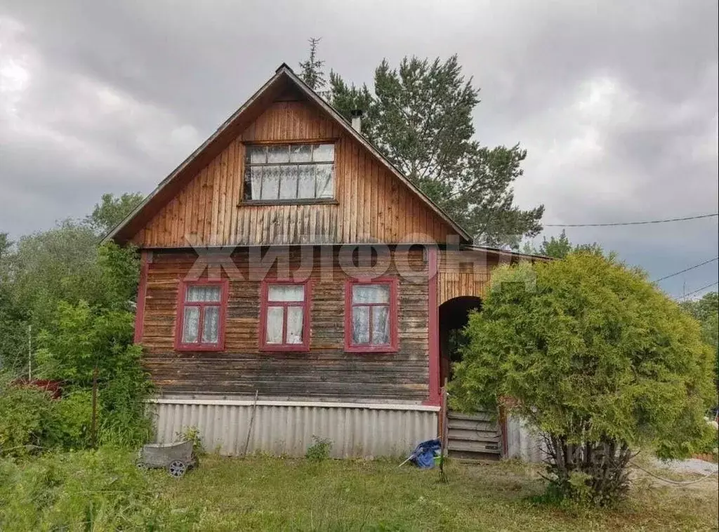 Дом в Новосибирская область, Колыванский район, Ветеран СНТ  (70 м) - Фото 0