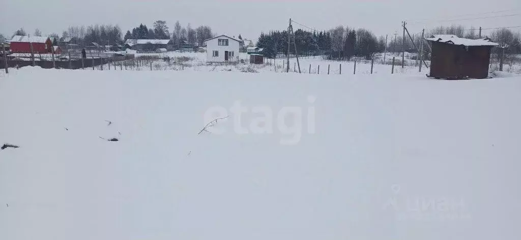 Участок в Вологодская область, Шекснинский муниципальный округ, д. ... - Фото 1