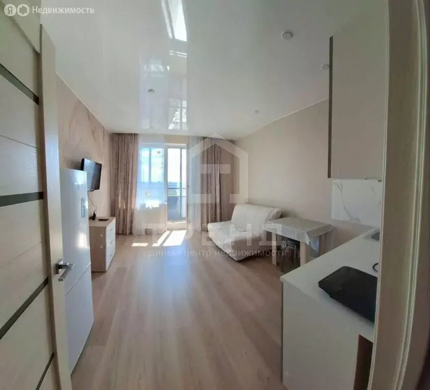 Квартира-студия: Санкт-Петербург, Суздальское шоссе, 18к4 (23.6 м) - Фото 2