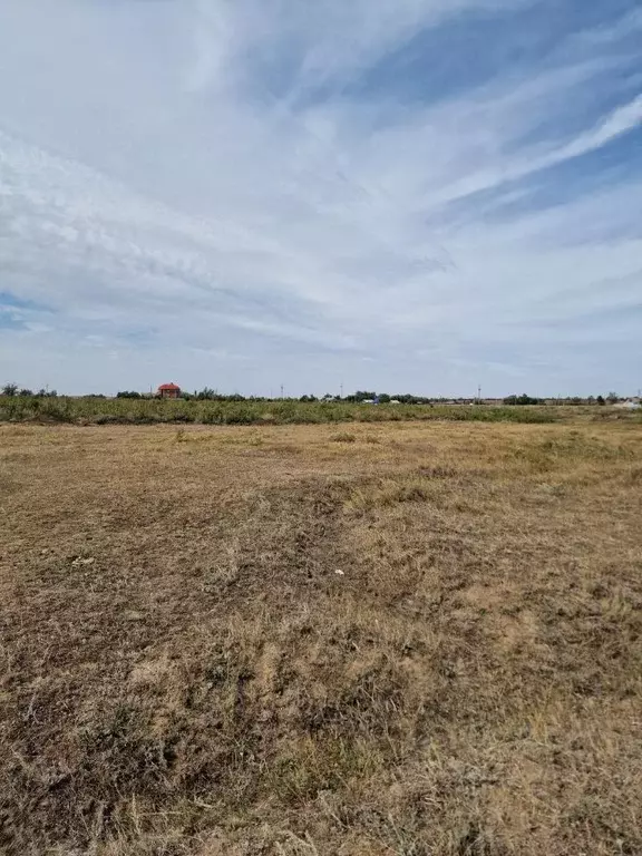 участок в волгоградская область, городищенский район, с. карповка . - Фото 1