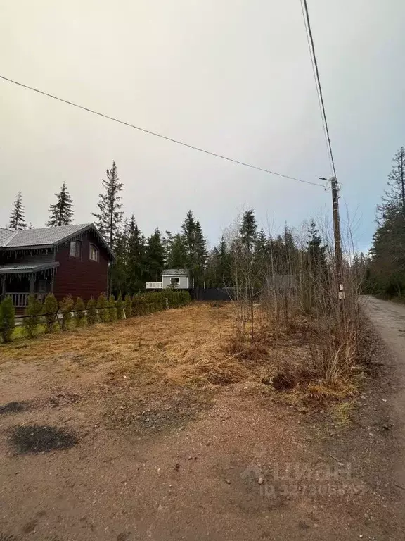 Участок в Ленинградская область, Приозерский район, Сосновское с/пос, ... - Фото 1