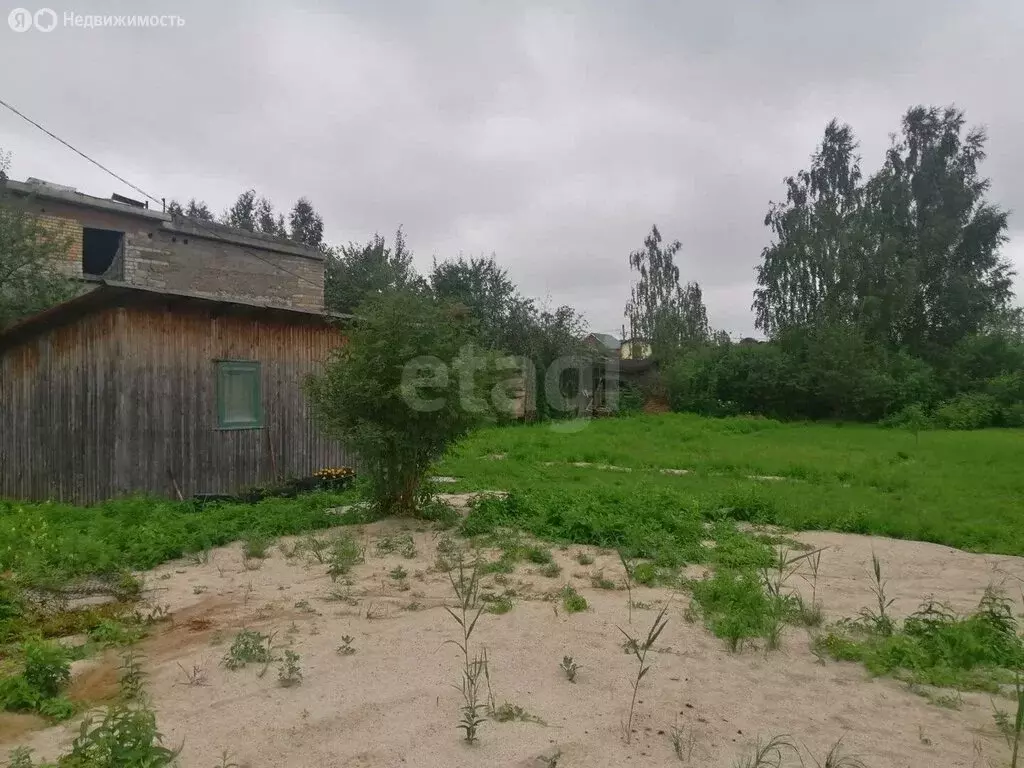 Участок в Ярославль, садовое товарищество Чёрная Грива (8.4 м) - Фото 1
