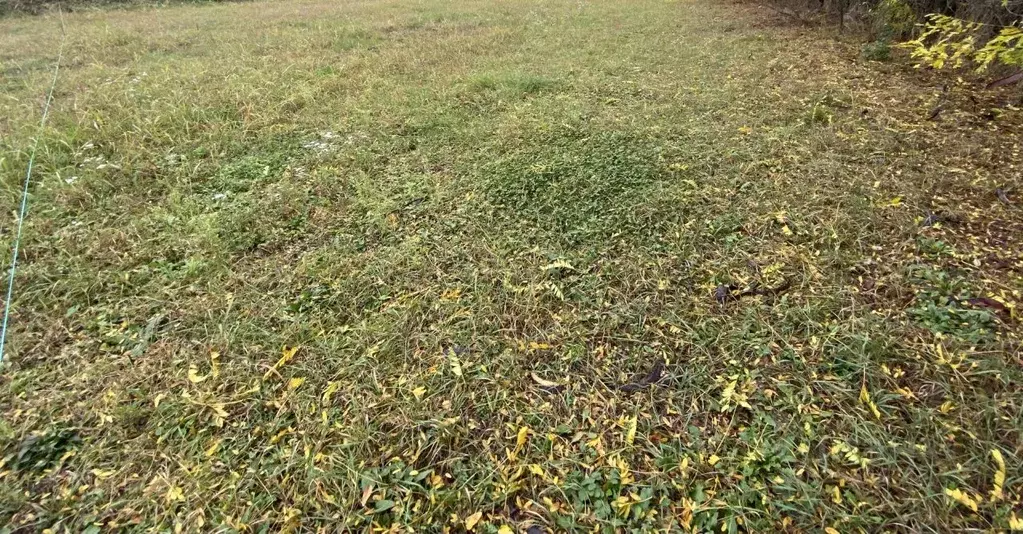 Участок в Краснодарский край, Армавир ул. Урицкого (10.0 сот.) - Фото 1