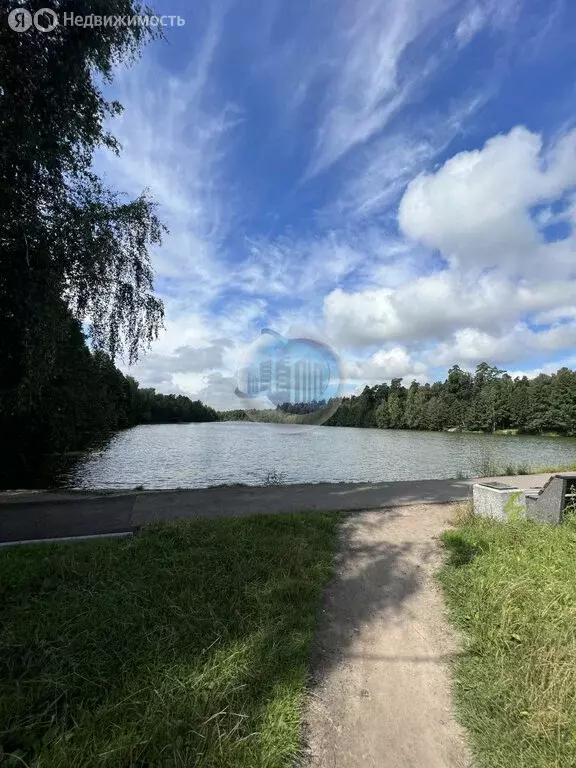 Участок в Московская область, городской округ Балашиха (10 м) - Фото 0