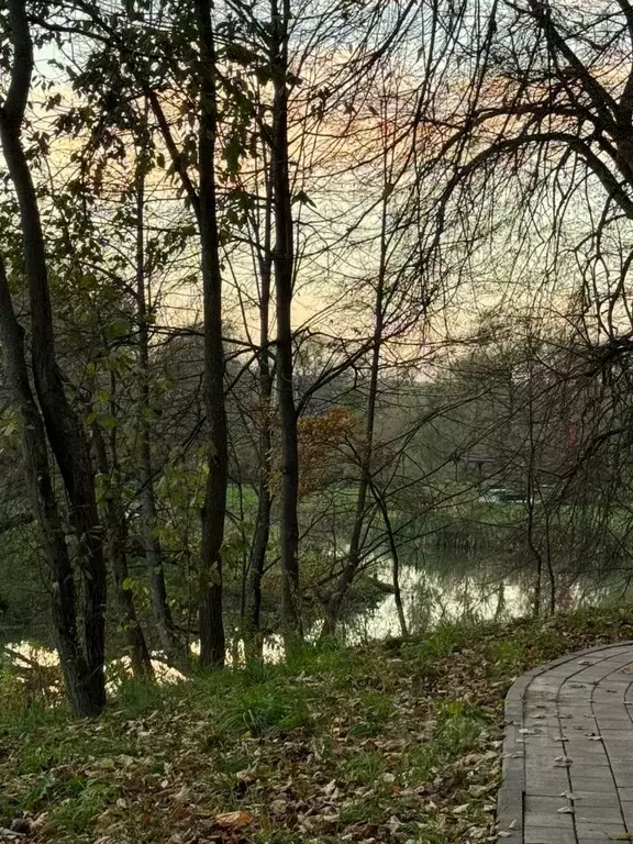 Дом в Тульская область, Воловский округ, д. Новоаннинка  (62 м) - Фото 1