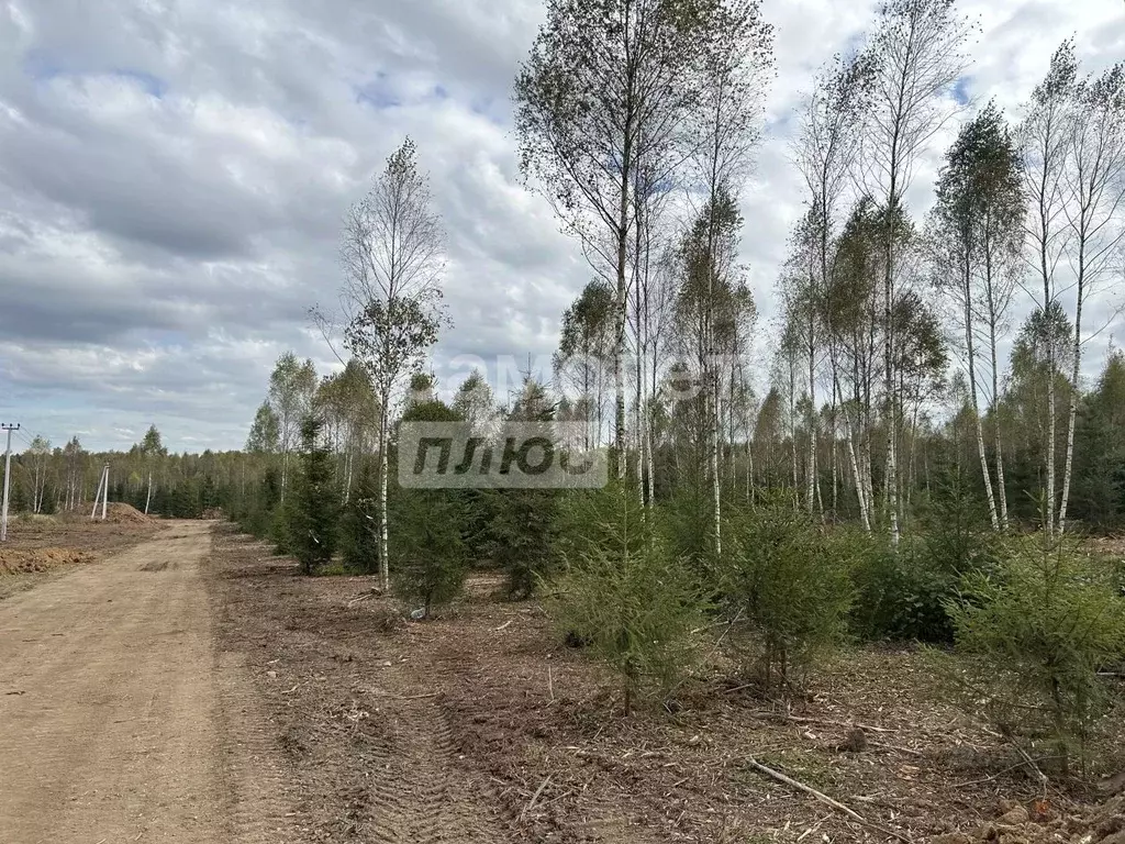Участок в Калужская область, Совхоз Боровский с/пос, Волконское кп  ... - Фото 1