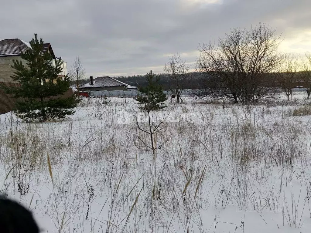 Участок в Белгородская область, Яковлевский муниципальный округ, с. ... - Фото 2