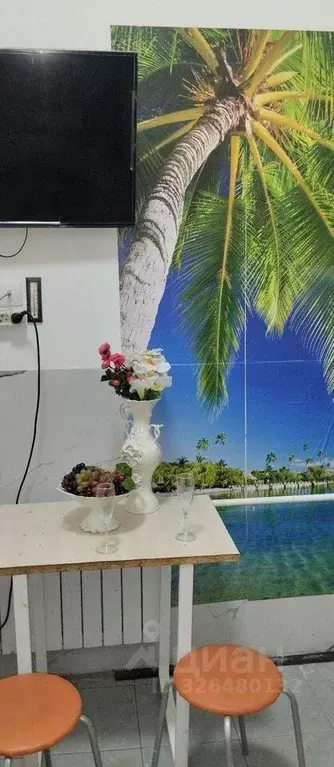 1-к кв. Московская область, Электроугли Богородский городской округ, ... - Фото 1