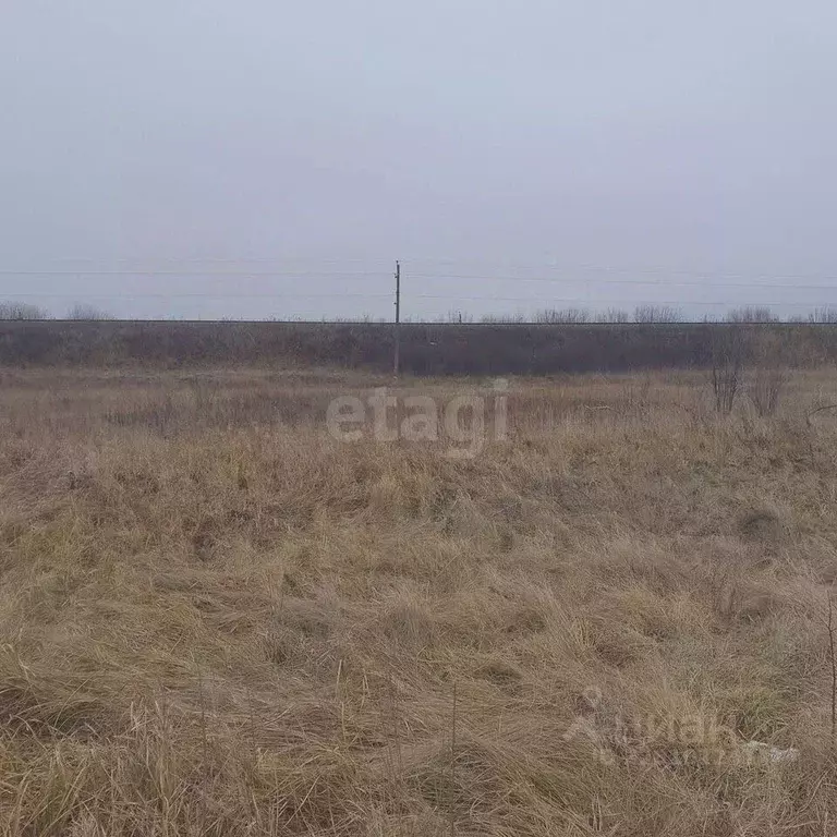 Участок в Курская область, Курский район, Рышковский сельсовет, ... - Фото 1