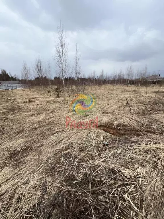 Участок в Ивановская область, Шуйский район, с. Китово ул. Спортивная ... - Фото 2