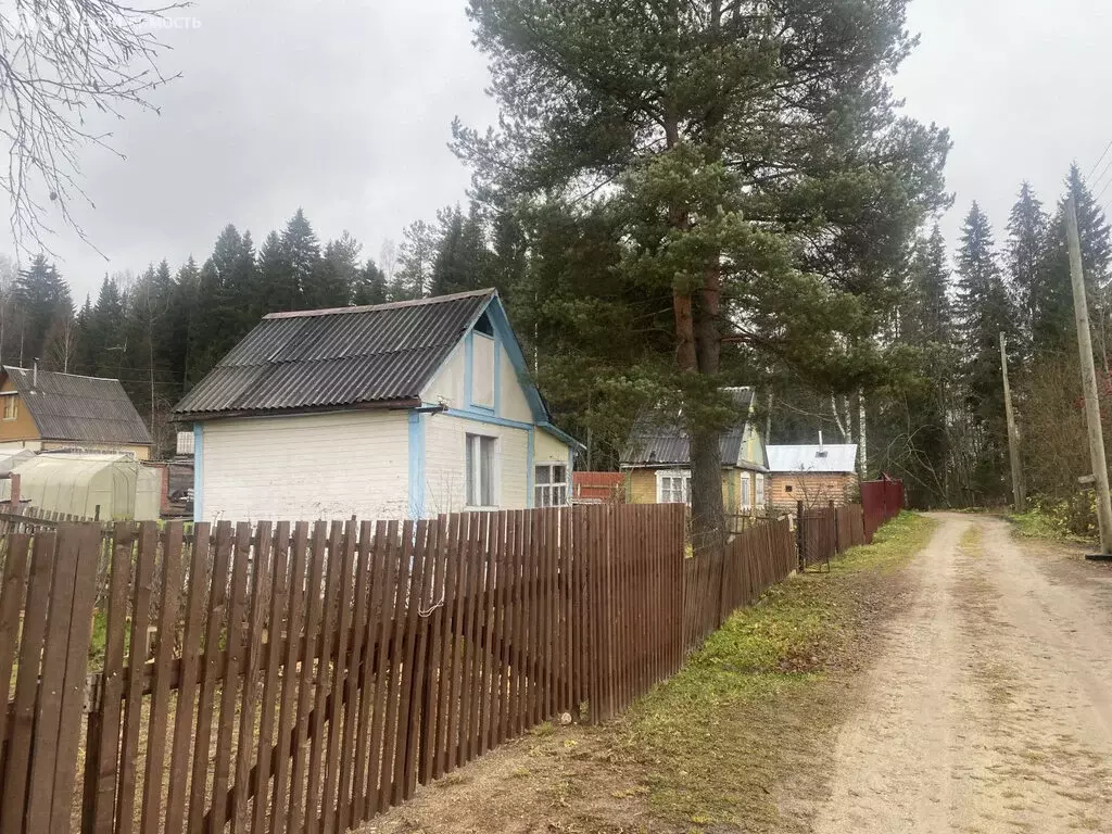 Дом в Морово, СДТ Лесовик (30 м) - Фото 2