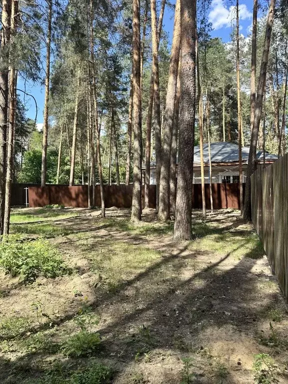 Участок в Московская область, Раменское ул. Тургенева (5.8 сот.) - Фото 1