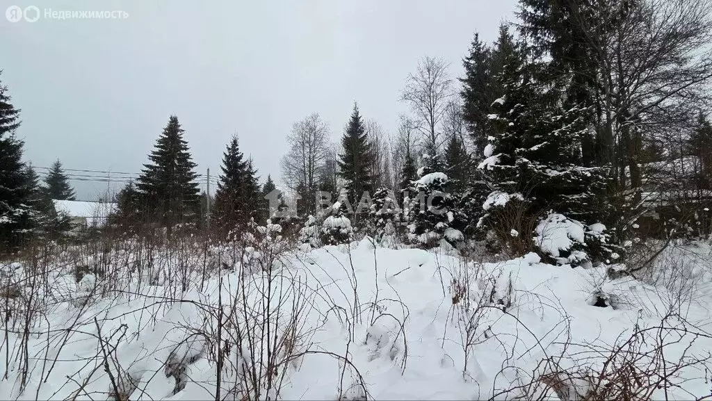 Участок в Агалатовское сельское поселение, СНТ Касимово-1, 226 (10 м) - Фото 2