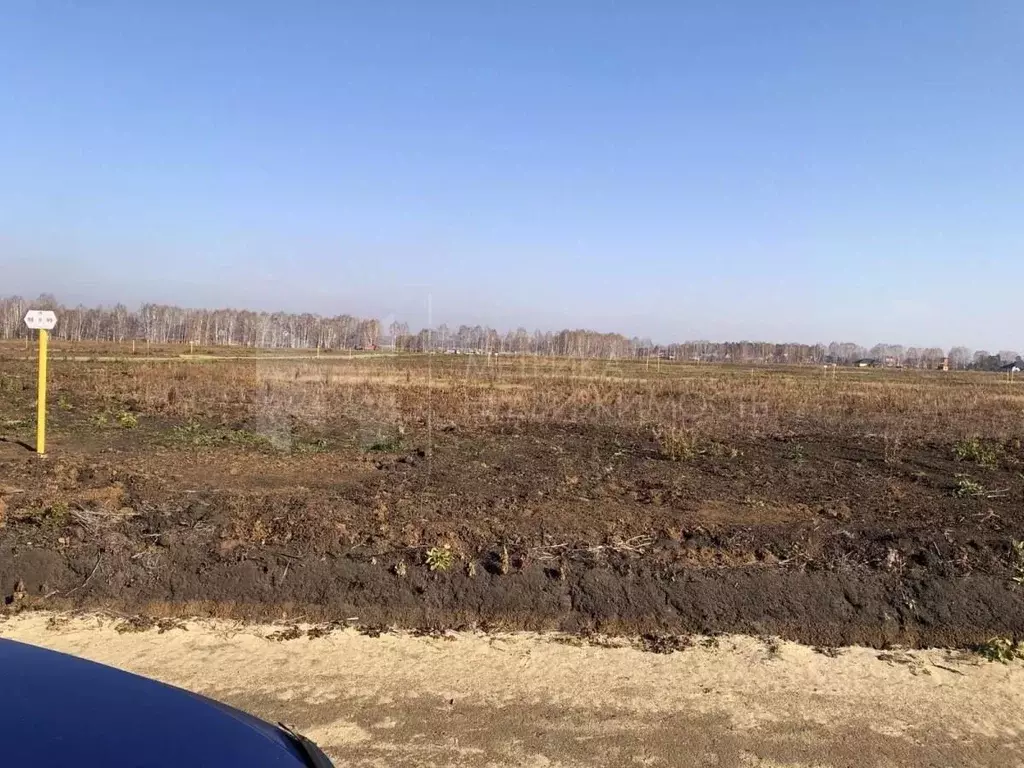 Участок в Тюменская область, Нижнетавдинский муниципальный округ, с. ... - Фото 1