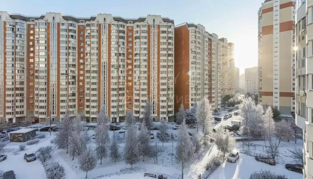 1-к кв. Московская область, Люберцы Красная Горка мкр, ул. ... - Фото 1