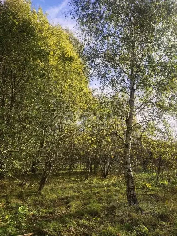 Участок в Псковская область, Печорский муниципальный округ, д. Велье  ... - Фото 2