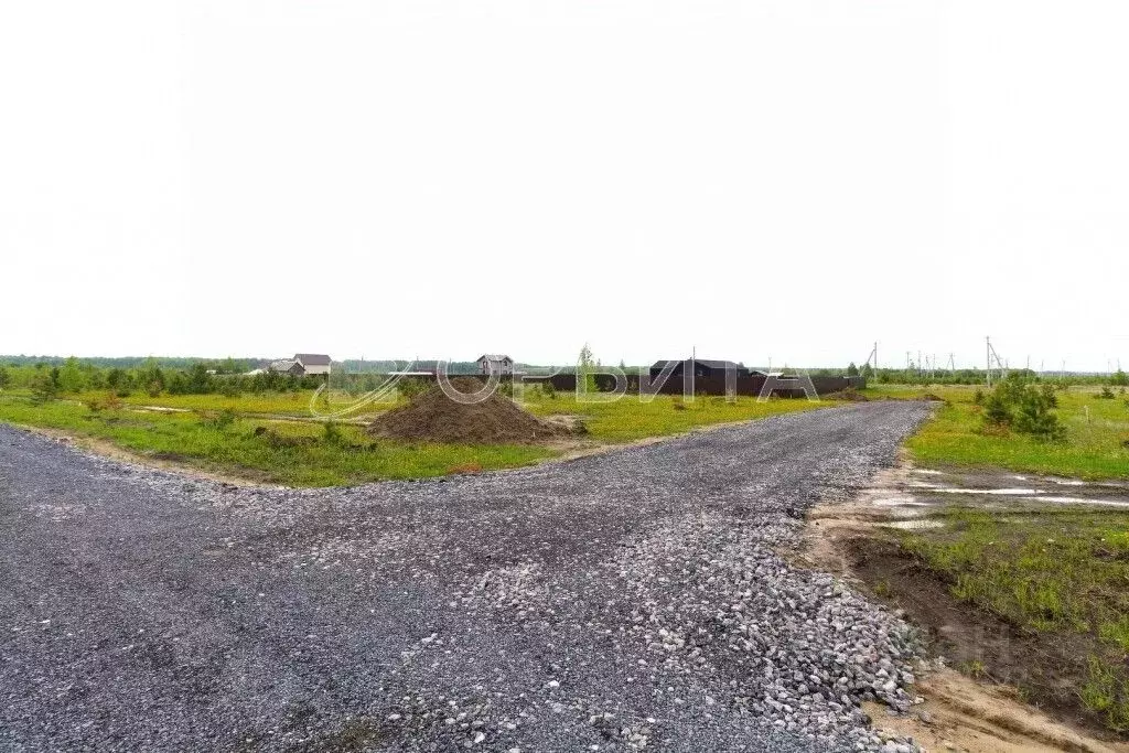 Участок в Тюменская область, Тюменский муниципальный округ, с. Кулига ... - Фото 2