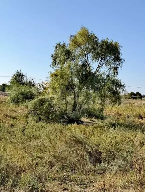 Участок в Костромская область, Нерехтский район, Волжское с/пос, д. ... - Фото 1