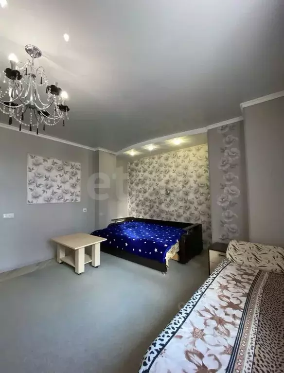 1-к кв. Воронежская область, Воронеж ул. Челюскинцев, 101В (45.3 м) - Фото 2