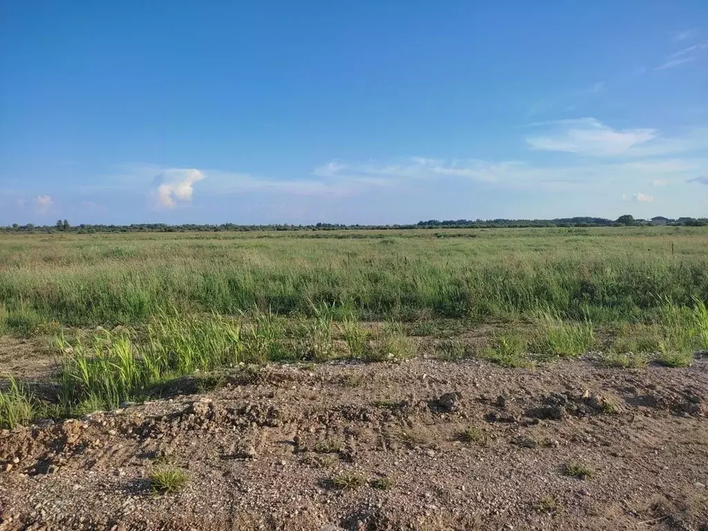 Участок в Новгородская область, Новгородский район, Савинское с/пос, ... - Фото 1