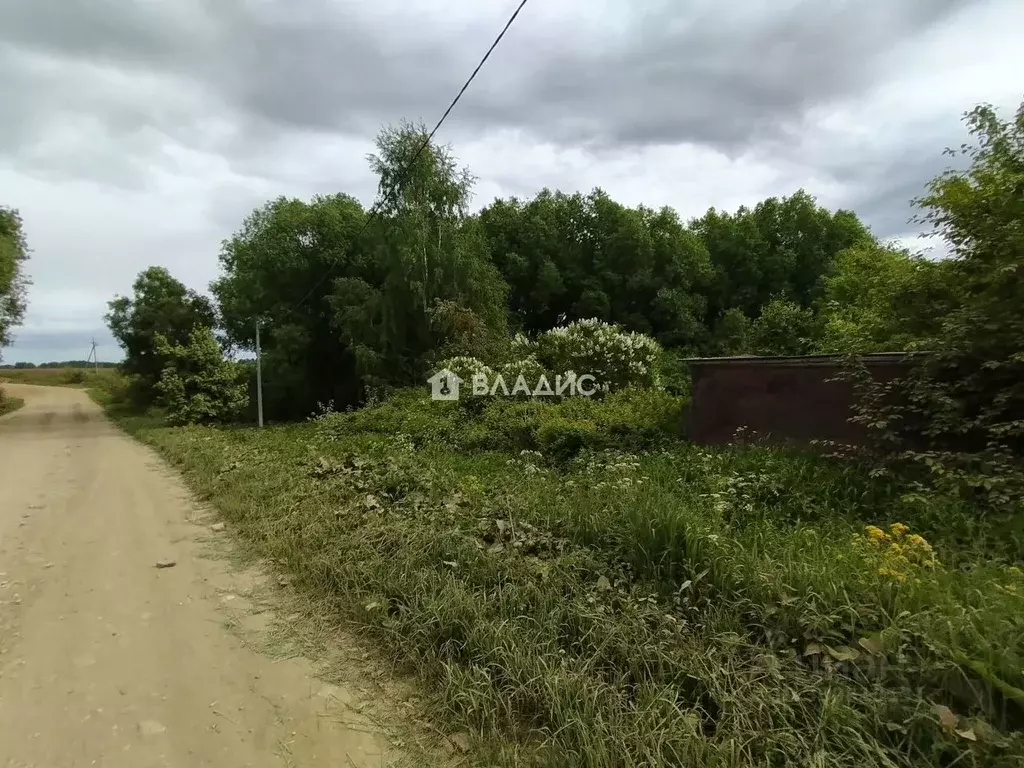 Участок в Владимирская область, Юрьев-Польский муниципальный округ, с. ... - Фото 2