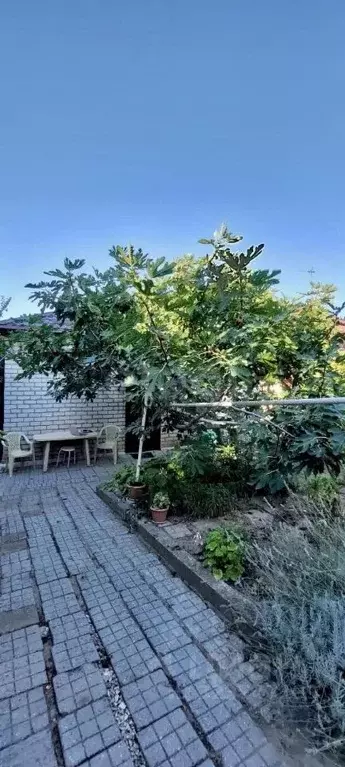 Дом в Краснодарский край, Новороссийск ул. Красина, 65А (82 м) - Фото 2