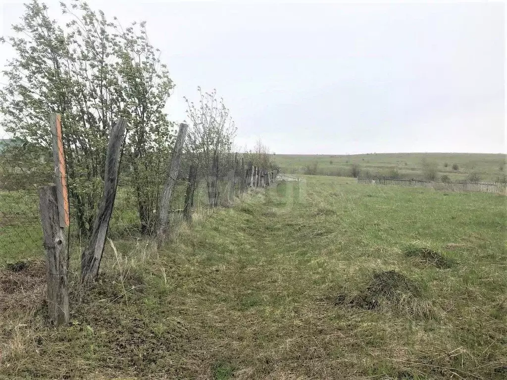 Участок в Башкортостан, Бирский район, Сусловский сельсовет, с. ... - Фото 1