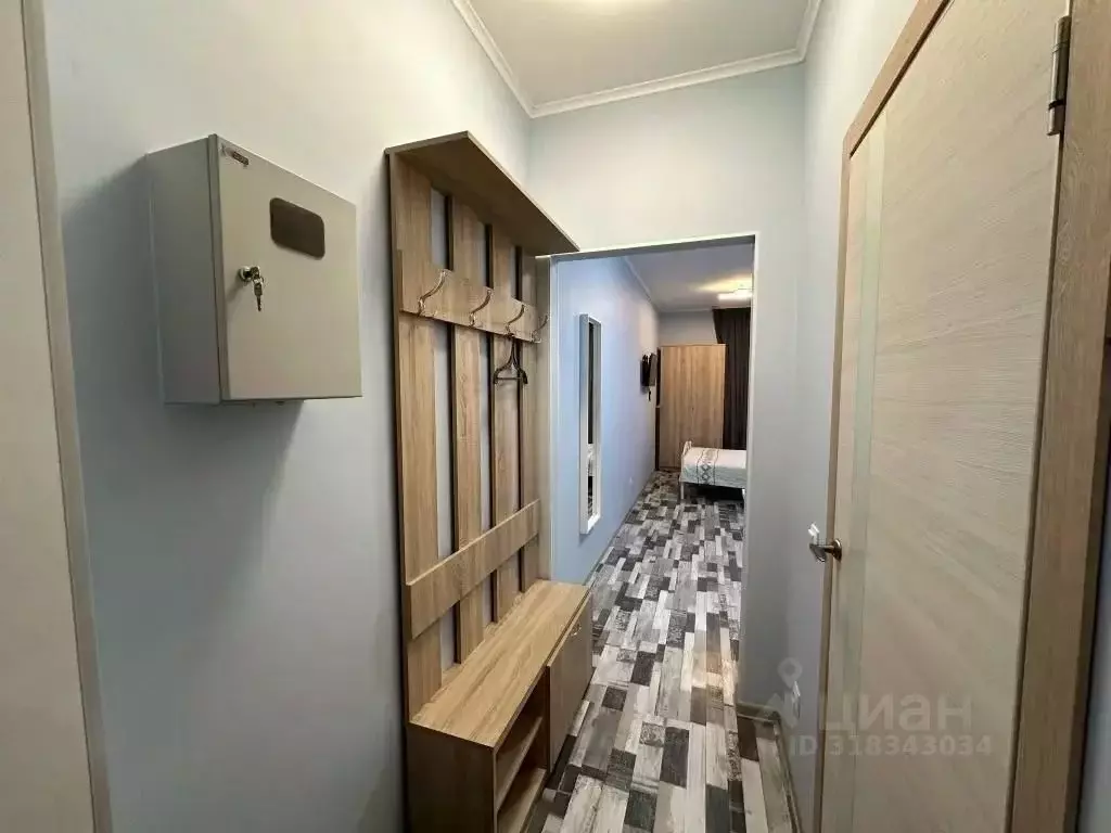 1-к кв. Ленинградская область, Никольское Тосненский район, ... - Фото 1
