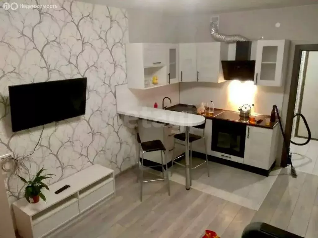 Квартира-студия: Кудрово, Пражская улица, 13 (24.1 м) - Фото 2