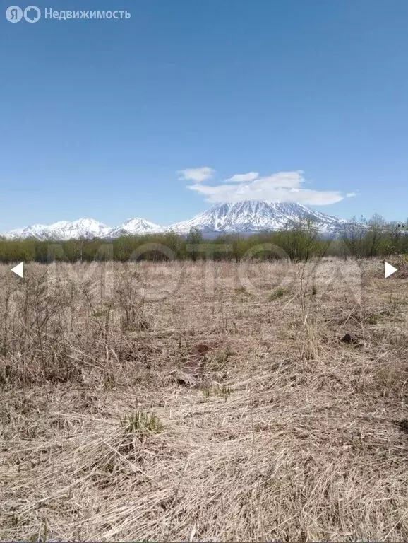 Участок в Камчатский край, Елизовский муниципальный округ, посёлок ... - Фото 2
