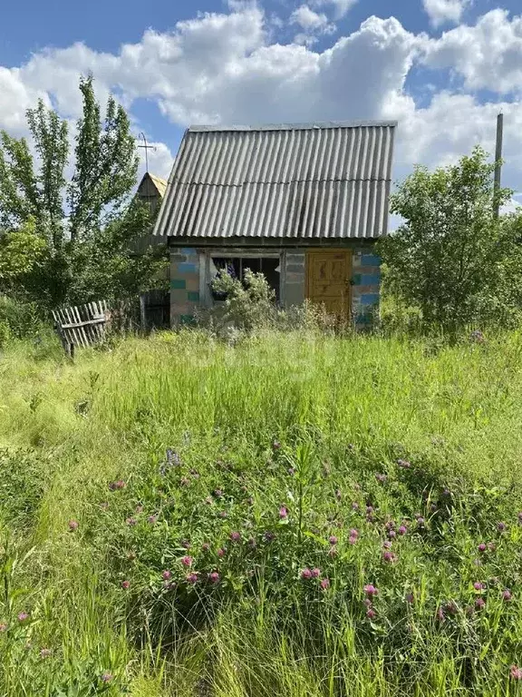 Участок в Челябинская область, Зауральское городское поселение, ... - Фото 1