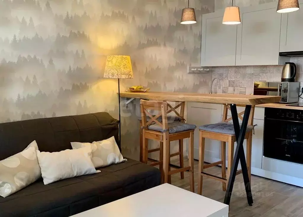 Студия Краснодарский край, Анапа Владимирская ул., 154к4 (30.0 м) - Фото 1