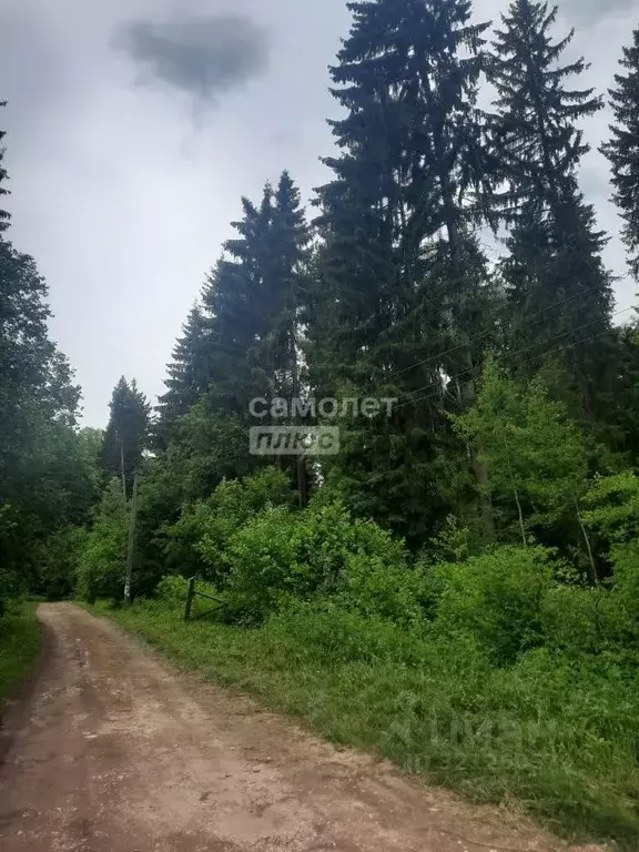Участок в Московская область, Волоколамский муниципальный округ, д. ... - Фото 1