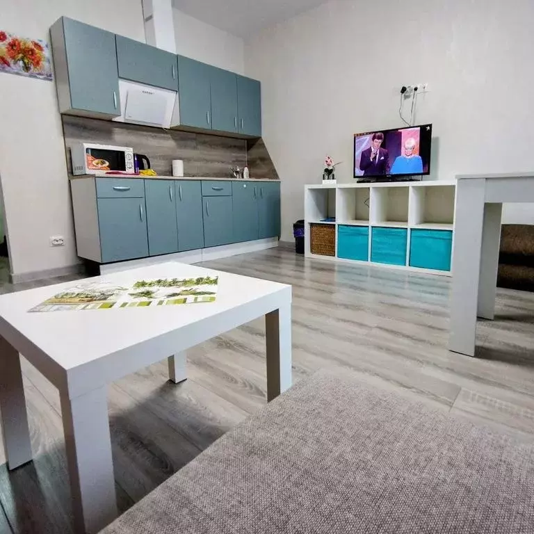 Студия Москва, Москва, Московский г. ул. Солнечная, 3Ас3 (25.0 м) - Фото 2