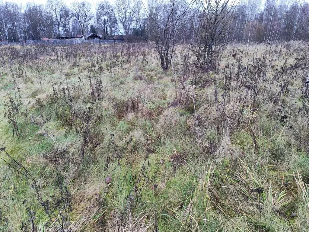 Участок в Московская область, Раменский муниципальный округ, д. ... - Фото 1