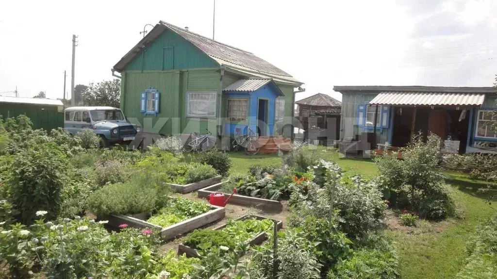 Участок в Новосибирская область, Ордынский район, с. Чингис ул. ... - Фото 1