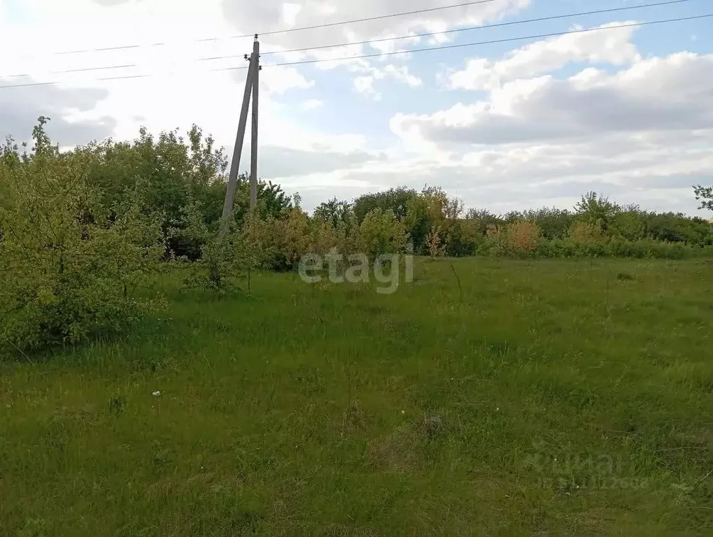 Участок в Воронежская область, Семилукский район, с. Губарево ул. ... - Фото 1