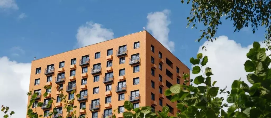 Гараж в Калужская область, Обнинск ул. Курчатова, 21 (13 м) - Фото 2