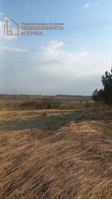 Участок в Башкортостан, Краснокамский район, Кариевский сельсовет, ... - Фото 0