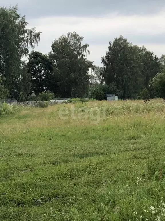 Участок в Брянская область, Брянский район, с. Глинищево ул. ... - Фото 1