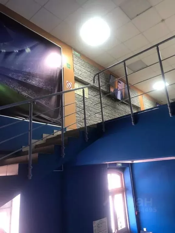 Помещение свободного назначения в Татарстан, Казань Московская ул., ... - Фото 2