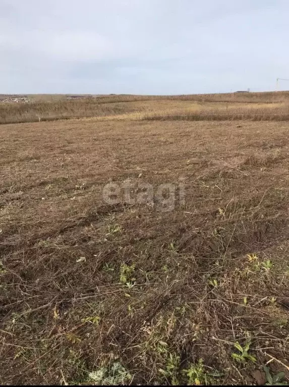 Участок в Башкортостан, Чишминский поссовет, Чишмы рп  (12.0 сот.) - Фото 0