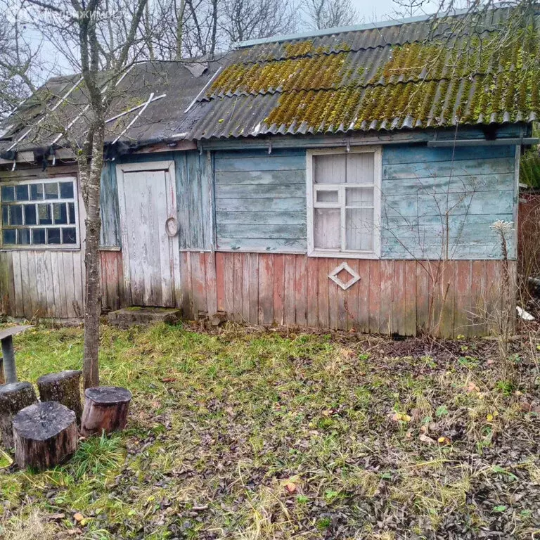 Дом в Брянск (23 м) - Фото 2