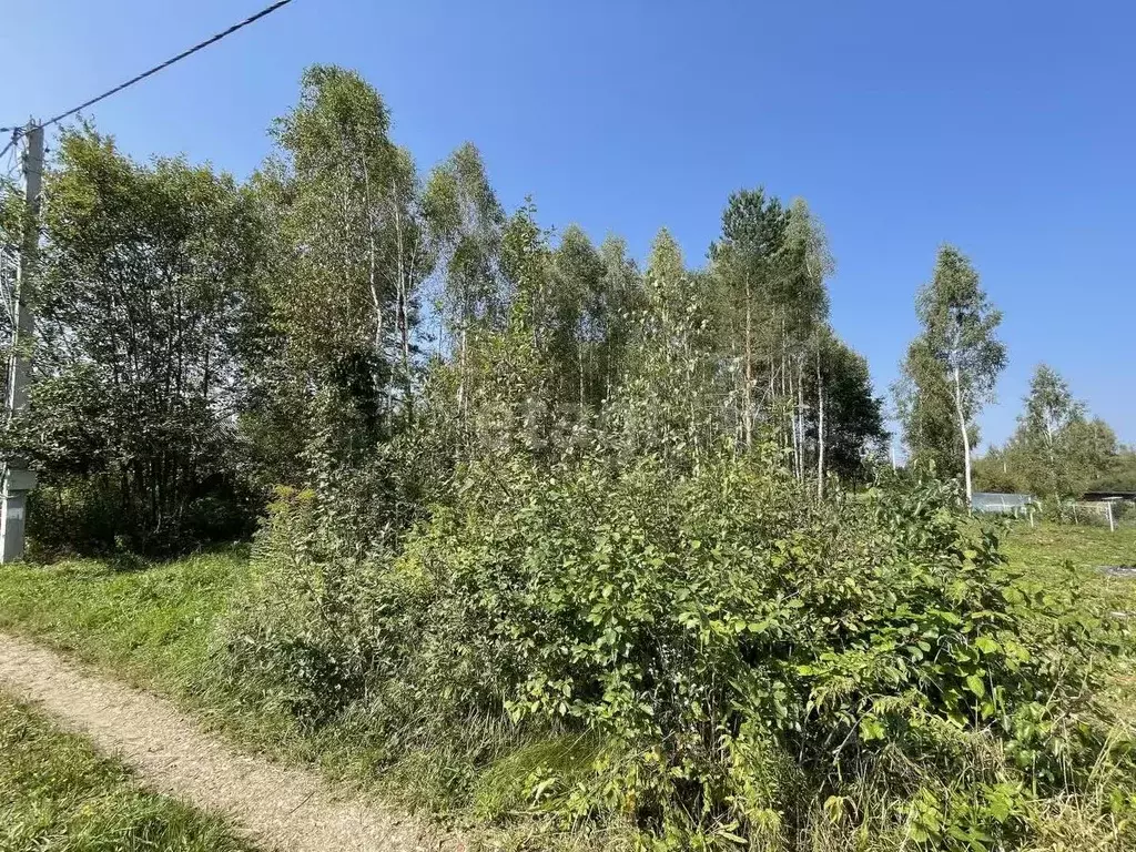 Участок в Калужская область, Перемышльский район, Большие Козлы с/пос, ... - Фото 0